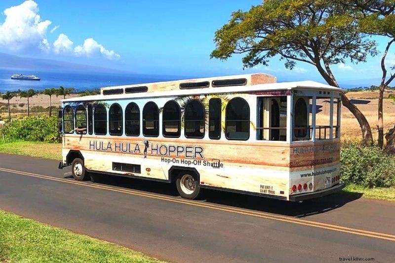 63 cosas divertidas para hacer en Maui (Hawái) 