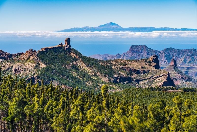 30 coisas divertidas para fazer em Gran Canaria 