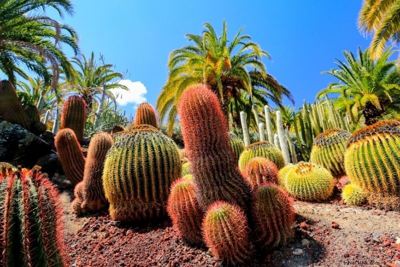 30 cosas divertidas para hacer en Gran Canaria 