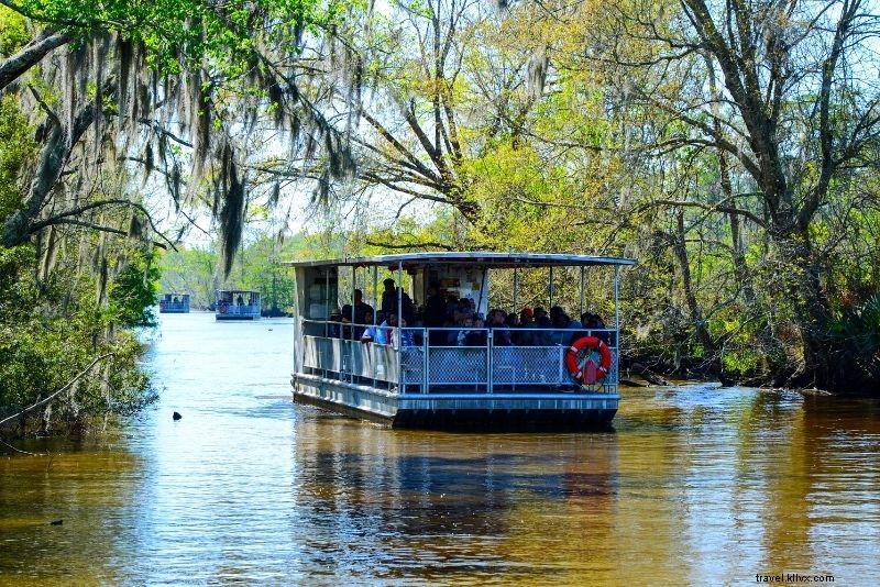 16 mejores recorridos por el pantano de Nueva Orleans 