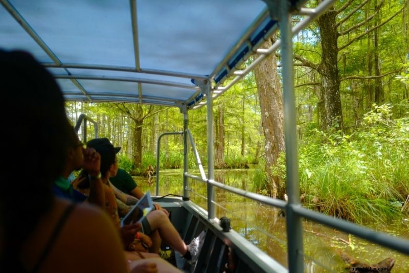 16 melhores excursões ao pântano de New Orleans 