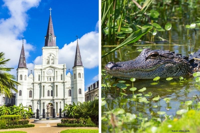 16 meilleures visites des marais de la Nouvelle-Orléans 