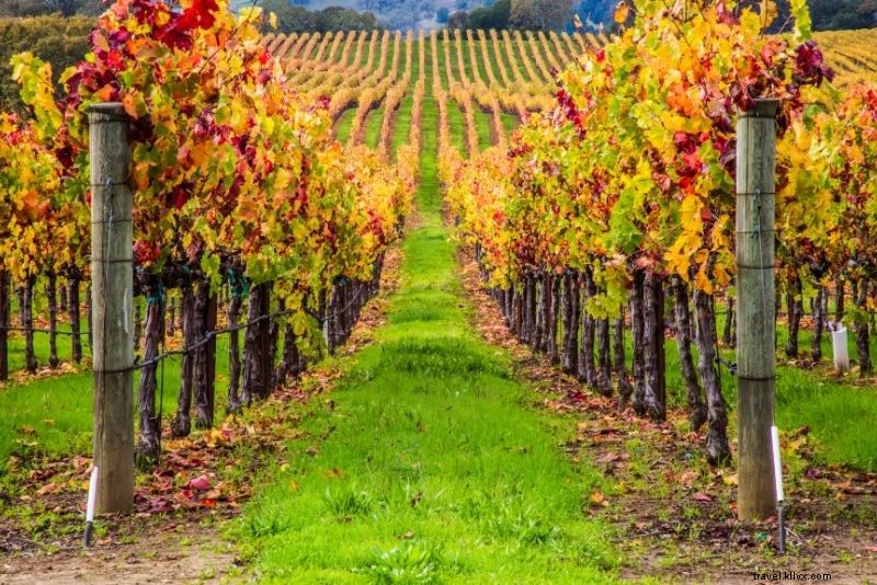 18 melhores excursões vinícolas no Vale de Napa 