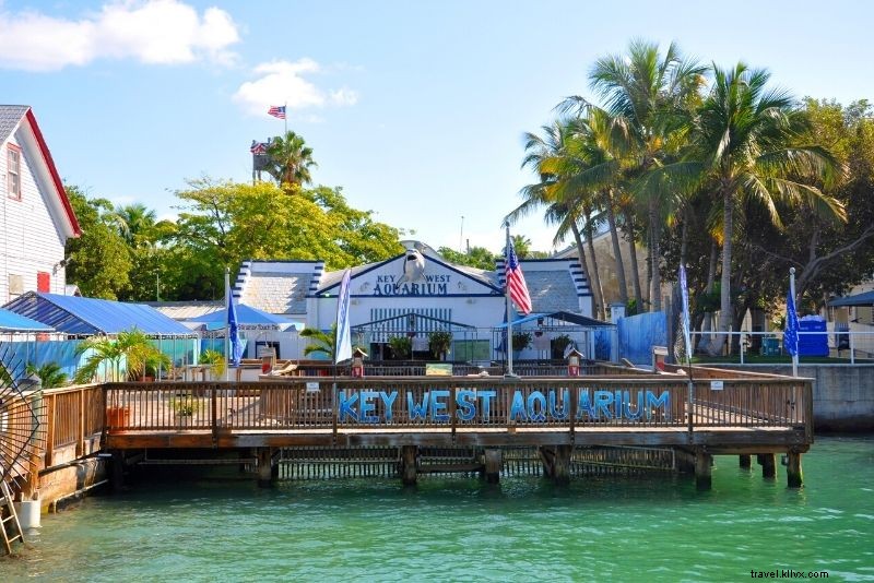 48 cose divertenti da fare a Key West (Florida) 