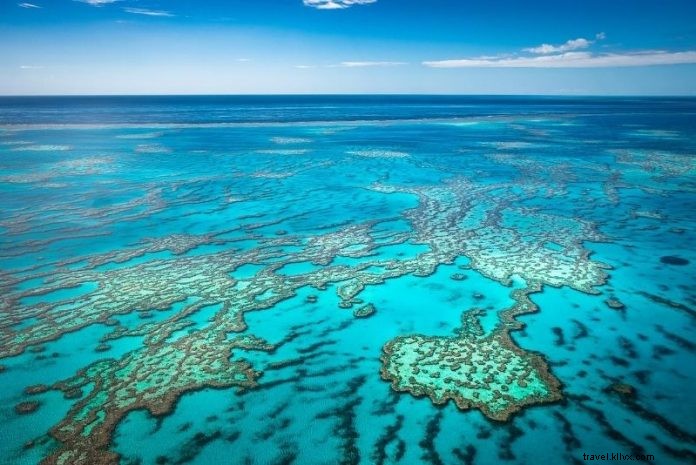 15 migliori tour della Grande Barriera Corallina da Cairns 