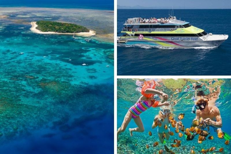 15 meilleurs circuits de la grande barrière de corail au départ de Cairns 