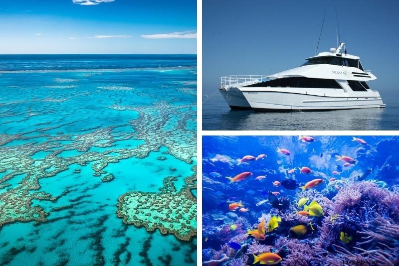 15 melhores excursões para a Grande Barreira de Corais saindo de Cairns 