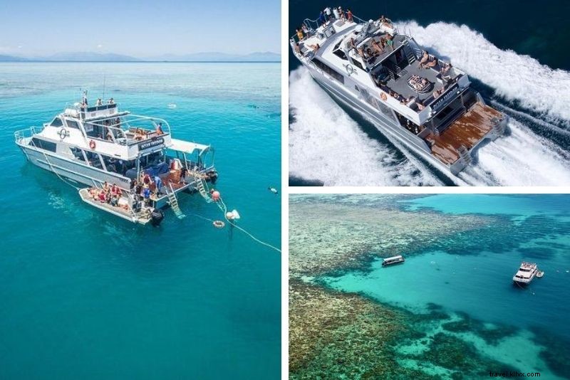 15 meilleurs circuits de la grande barrière de corail au départ de Cairns 