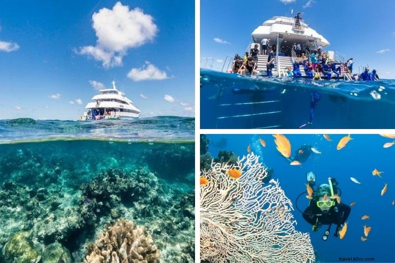 15 Tur Great Barrier Reef Terbaik dari Cairns 
