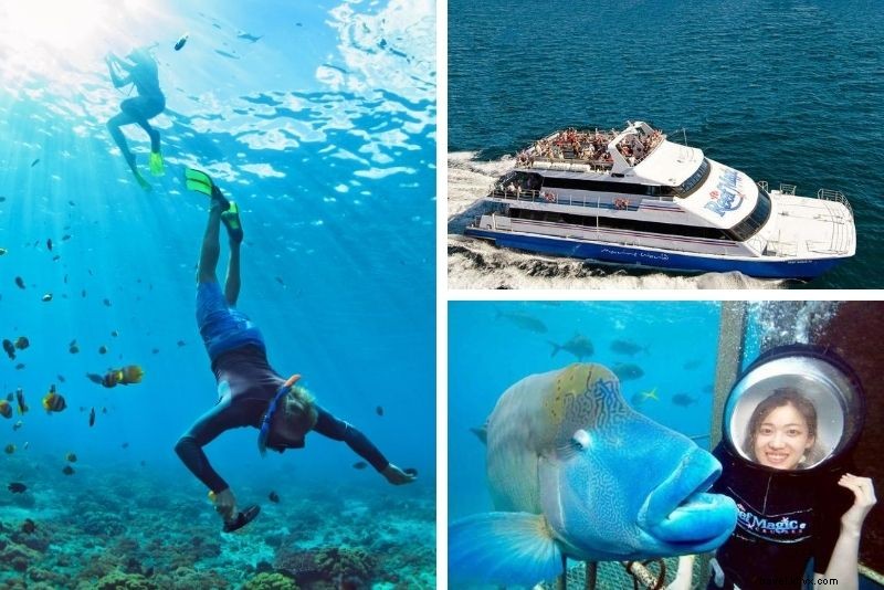 15 mejores recorridos por la Gran Barrera de Coral desde Cairns 