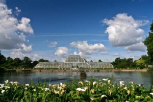 Prezzo dei biglietti per Kew Gardens – Come risparmiare fino al 25% 