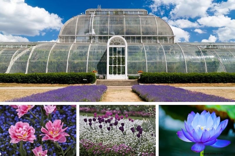 Harga Tiket Kew Gardens – Cara Hemat Hingga 25% 