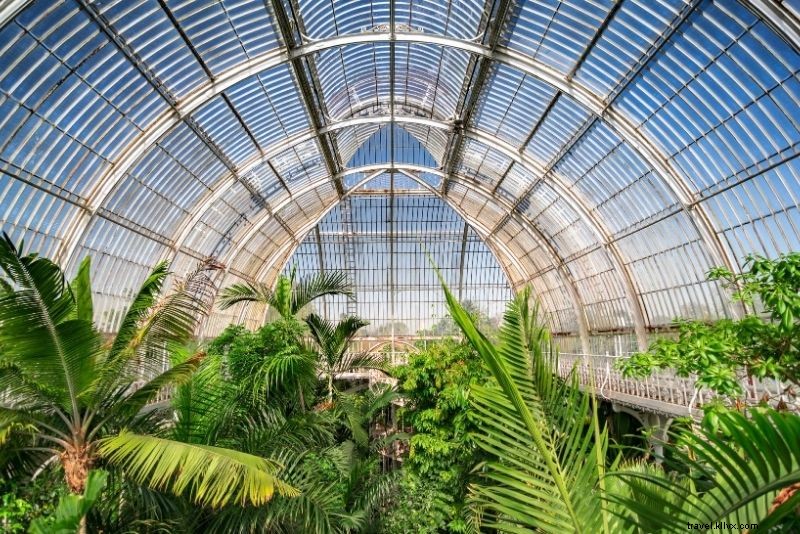Precio de las entradas de Kew Gardens:cómo ahorrar hasta un 25% 