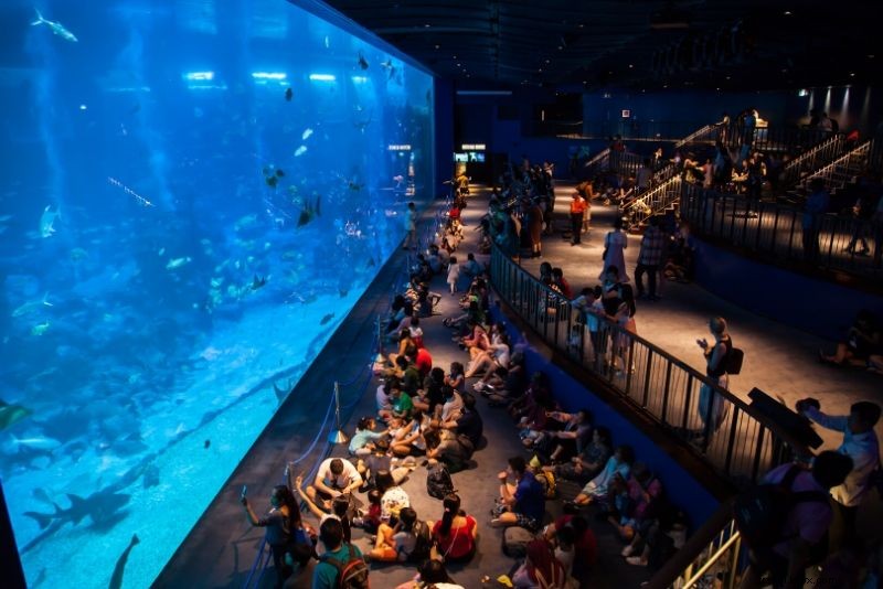 世界で50の最高の水族館 