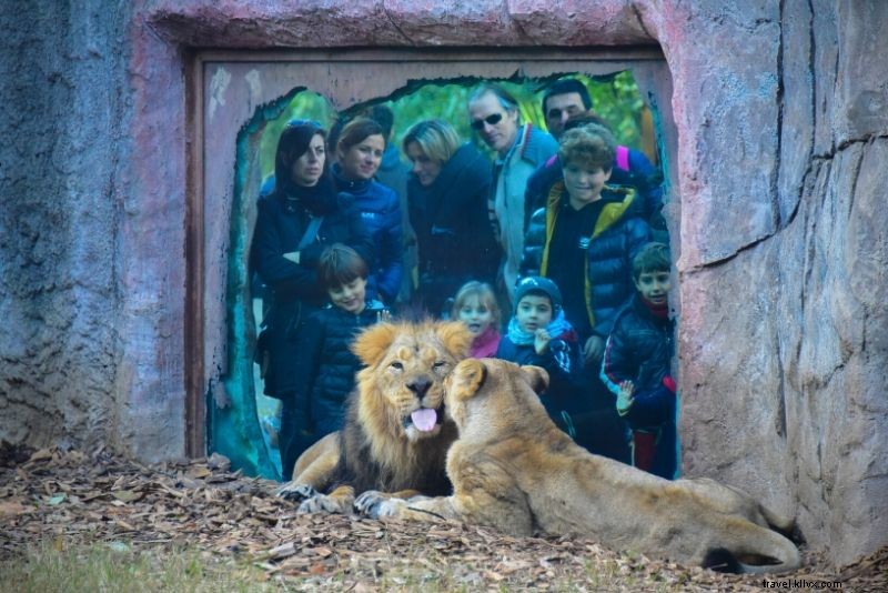 50 migliori zoo del mondo 