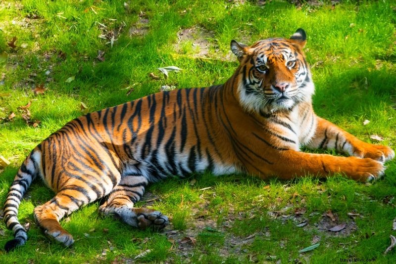 50 mejores zoológicos del mundo 