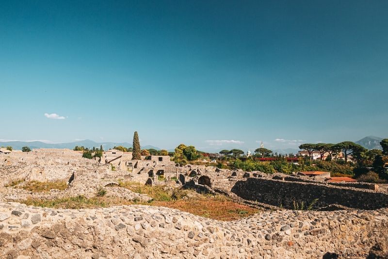 23 migliori tour di Pompei 