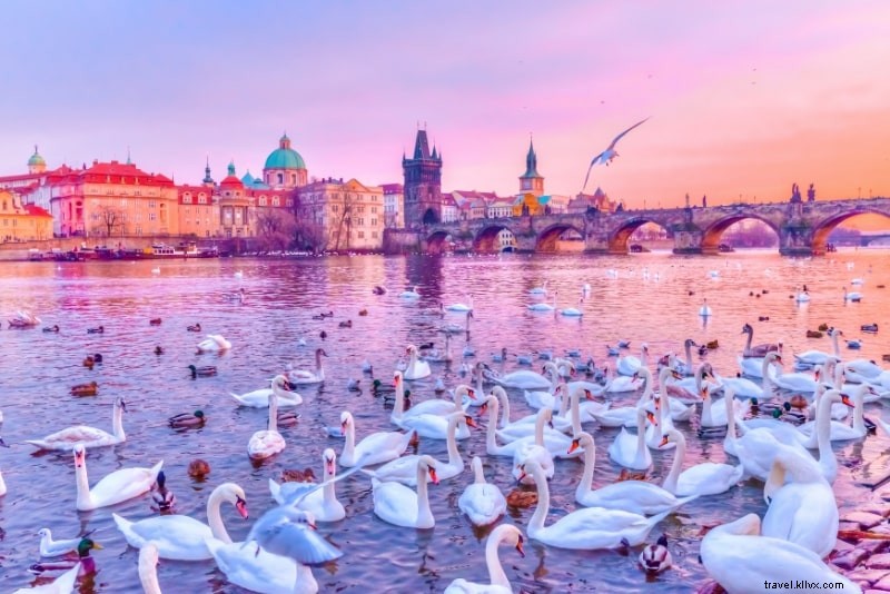 Cruceros por el río Praga:¿cuál es el mejor? 
