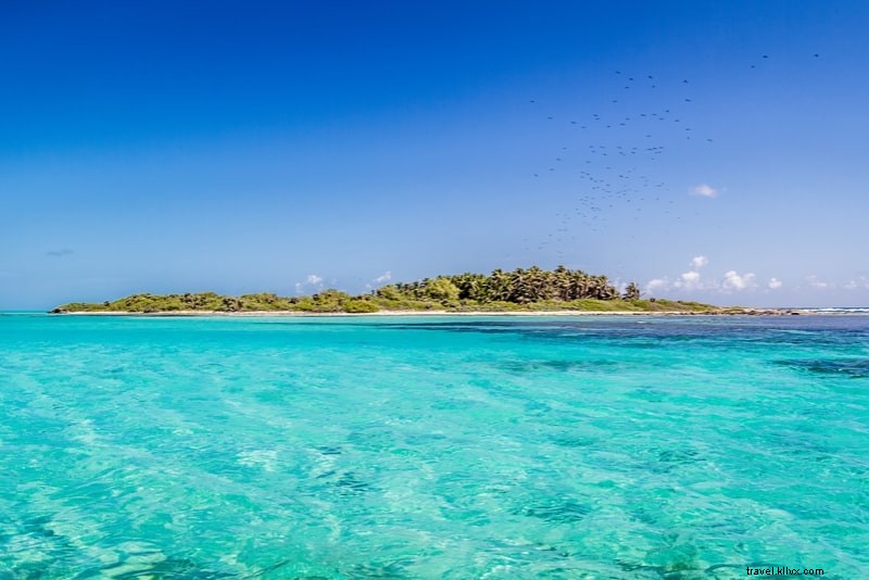 25 Wisata Cancun dan Perjalanan Sehari Terbaik 