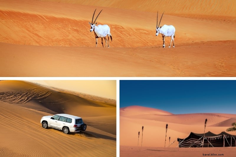 22 meilleurs safari dans le désert de Dubaï 