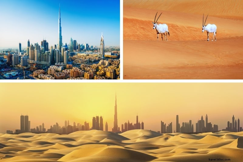 22 Safari Gurun Dubai Terbaik 