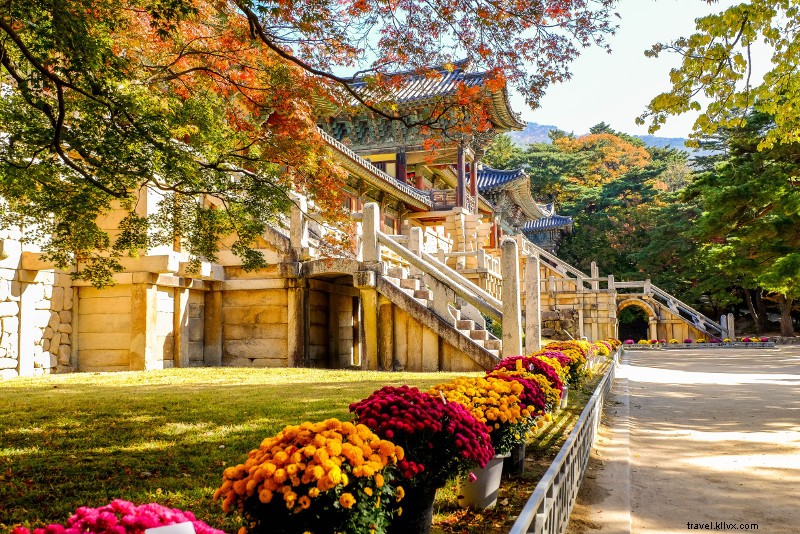 27 melhores viagens de um dia saindo de Seul 