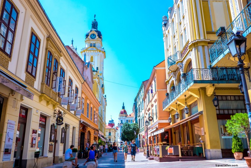 25 melhores viagens de um dia saindo de Budapeste - Curva do Danúbio, Vinhas… 