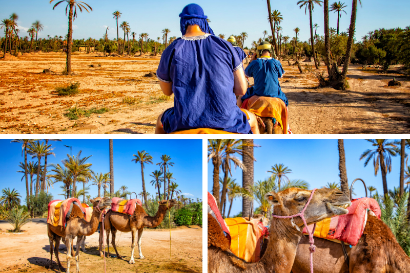 15 melhores passeios no deserto de Marrakech 