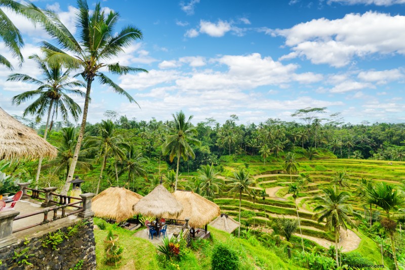 25 migliori tour di Bali 