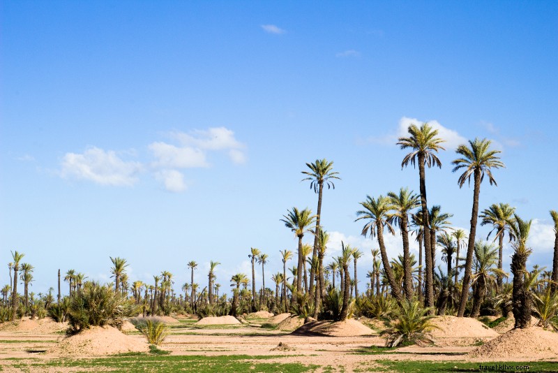 21 Perjalanan Sehari Terbaik dari Marrakech 