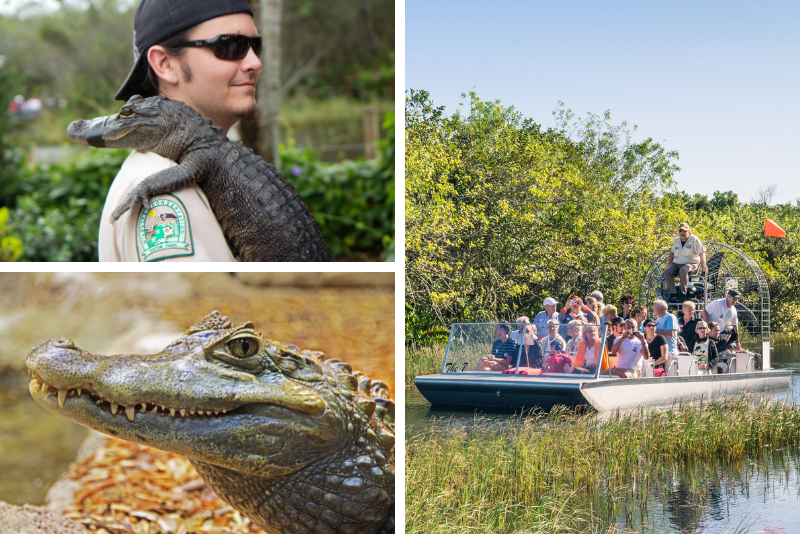 20 migliori tour in idroscivolante delle Everglades 