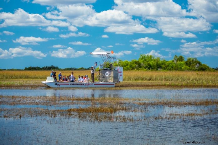 20 migliori tour in idroscivolante delle Everglades 