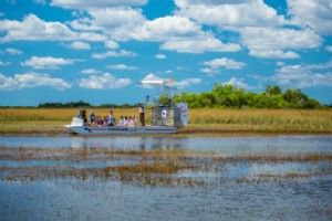 20 mejores recorridos en hidrodeslizador por los Everglades 
