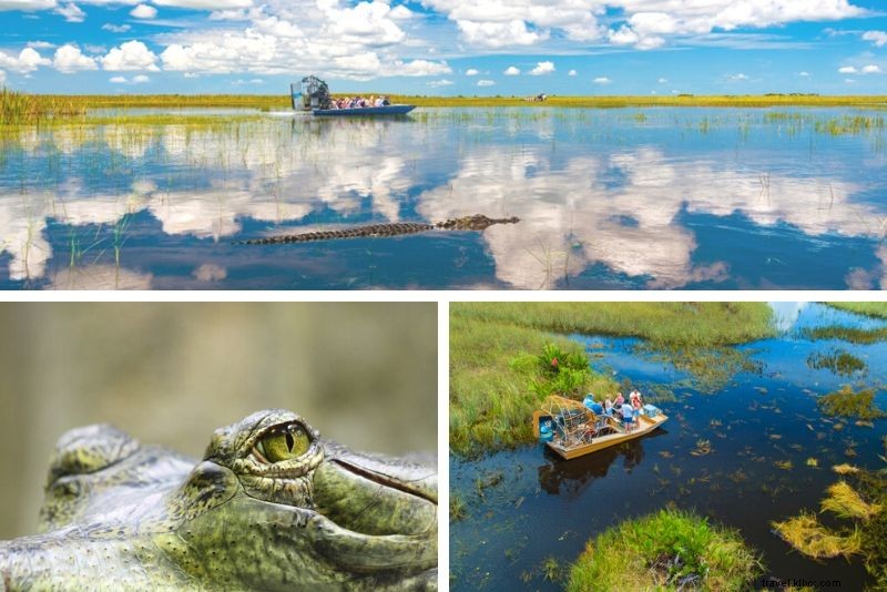 20 melhores passeios de aerobarco em Everglades 