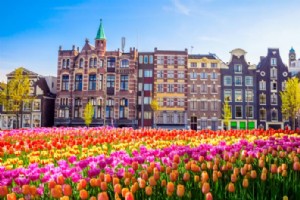 28 Perjalanan Sehari Terbaik dari Amsterdam – Zaanse Schans, Keukenhof… 