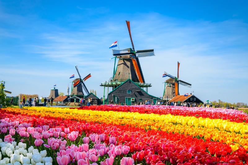 28 Perjalanan Sehari Terbaik dari Amsterdam – Zaanse Schans, Keukenhof… 