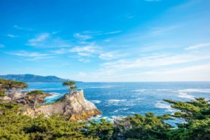 32 mejores excursiones de un día desde San Francisco 