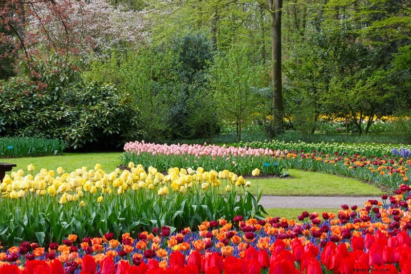 Precio de las entradas para los jardines de tulipanes de Keukenhof:todo lo que necesitas saber 