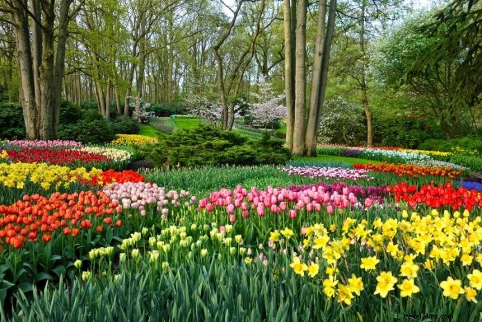 Precio de las entradas para los jardines de tulipanes de Keukenhof:todo lo que necesitas saber 