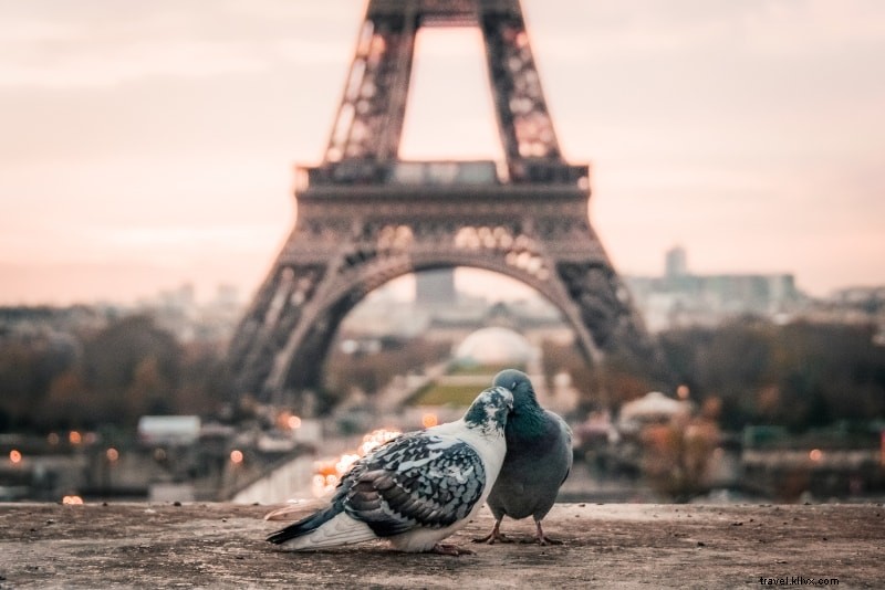 パリのエッフェル塔ツアー–どれがベストですか？ 