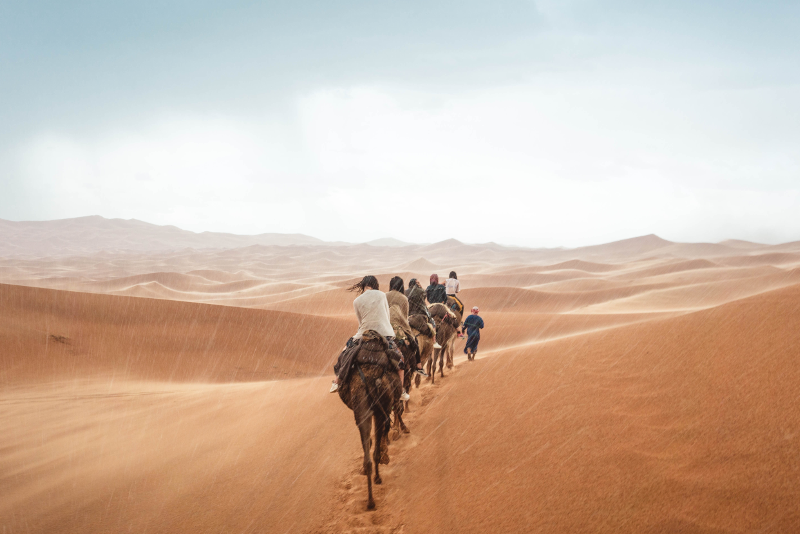 7 melhores safaris no deserto em Doha que você vai adorar fazer 