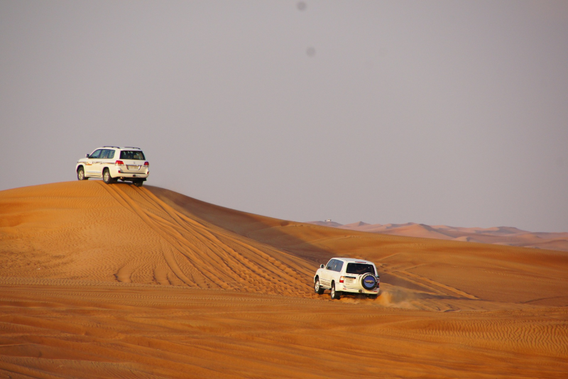 7 meilleurs safaris dans le désert à Doha que vous adorerez faire 