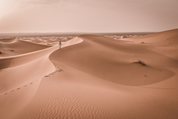 7 Safari Gurun Terbaik di Doha yang Akan Anda Sukai 