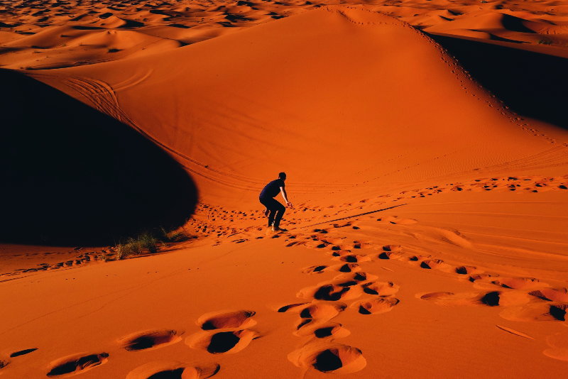 あなたがやりたいと思うドーハの7つの最高の砂漠のサファリ 