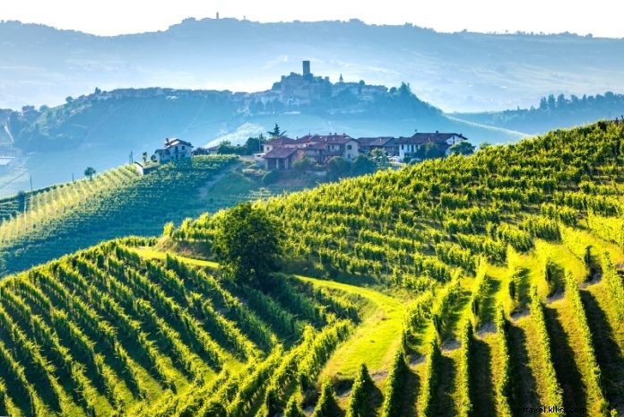 12 migliori tour enologici della Toscana da:Firenze, Siena, Roma, … 