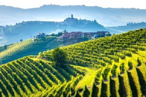 12 Tur Anggur Tuscany Terbaik dari:Florence, Siena, Roma, … 