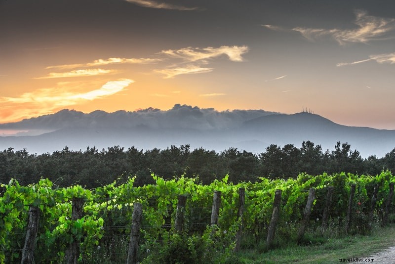 12 melhores tours dos melhores vinhos da Toscana saindo de:Florença, Siena, Roma, … 