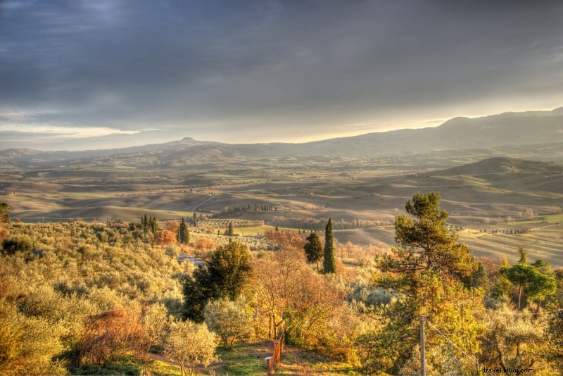 Los 12 mejores tours enológicos de la Toscana desde:Florencia, Siena, Roma, ... 