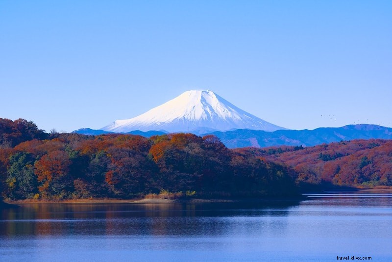 Tour del Monte Fuji da Tokyo – Guida completa 