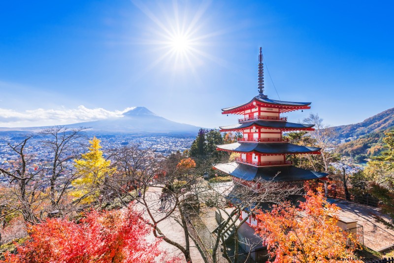 42 meilleures excursions d une journée au départ de Tokyo 